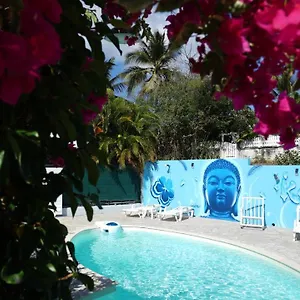 Appartement Surf Camp Kokoplaj, A 150m De La Et Du Spot De Surf, Sainte-Anne (Grande-Terre)